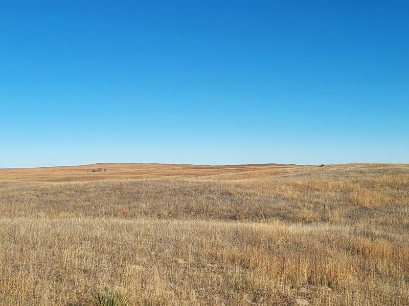 126 Acres, Lincoln County, Sandhill : North Platte : Lincoln County : Nebraska