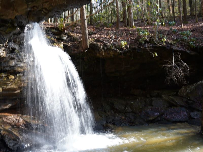 Heaven on Earth : Williamsburg : Whitley County : Kentucky