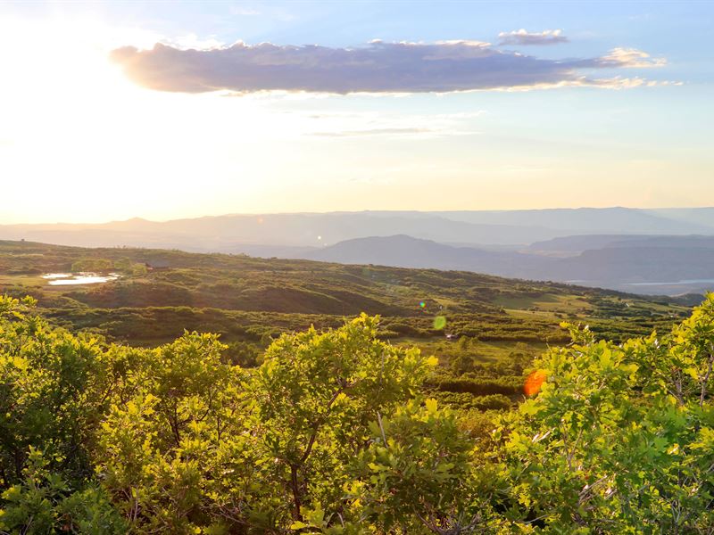 Grand Mesa Hunting Camp : Molina : Mesa County : Colorado