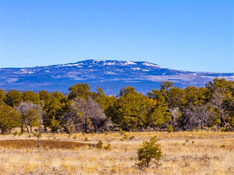 Schlabach Ranch : Tierra Amarilla : Rio Arriba County : New Mexico