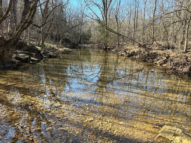 40 Acres, Hunters Paradise, Cre : Williford : Lawrence County : Arkansas