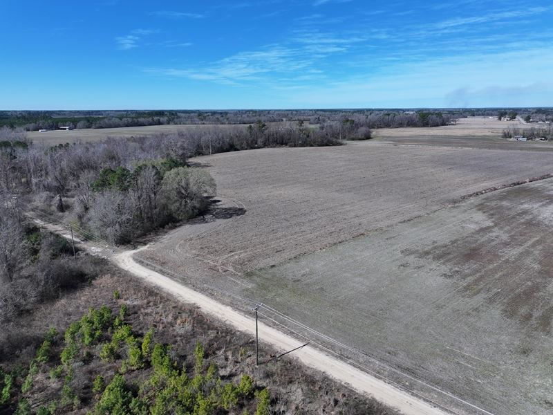 Spacious Residential and Farm Land : Parkton : Robeson County : North Carolina