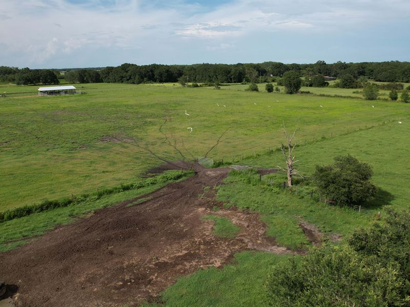 Lake County Ranch Land 170 : Groveland : Lake County : Florida