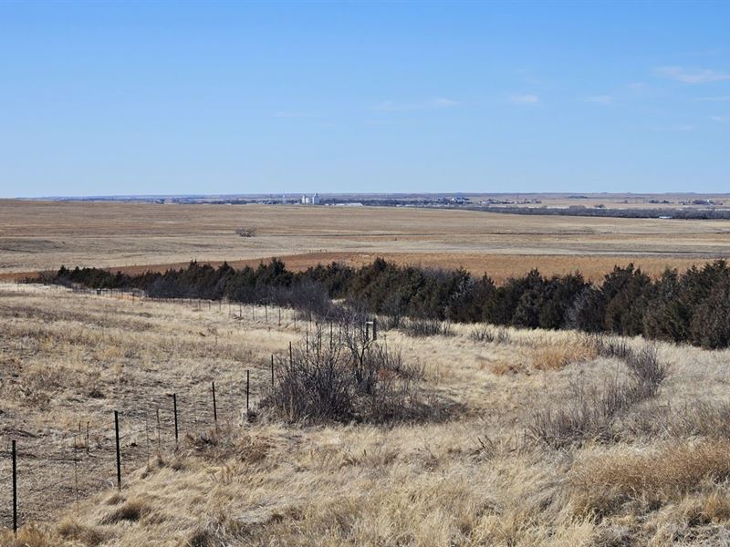 Sedgwick County Crp, Grass : Sedgwick : Sedgwick County : Colorado