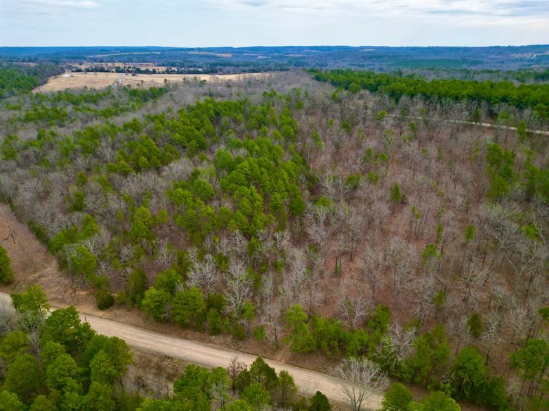 17.5 Acre Hunting Property in Bee : Bee Branch : Van Buren County : Arkansas