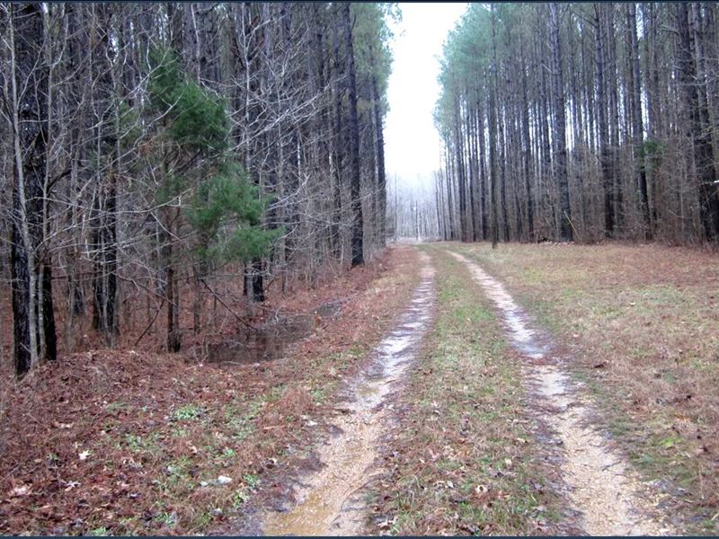 28.5 Acres in Tallahatchie County : Charleston : Tallahatchie County : Mississippi