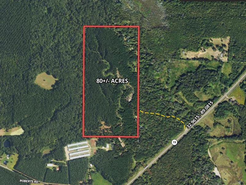 80 Acres in Winston County in Noxap : Noxapater : Winston County : Mississippi