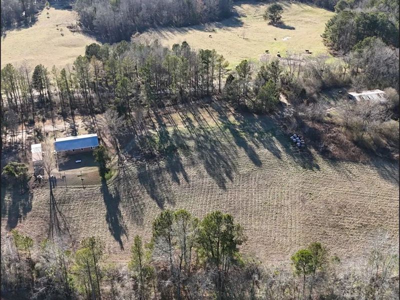 35 Acres with A Home in Kemper Coun : De Kalb : Kemper County : Mississippi