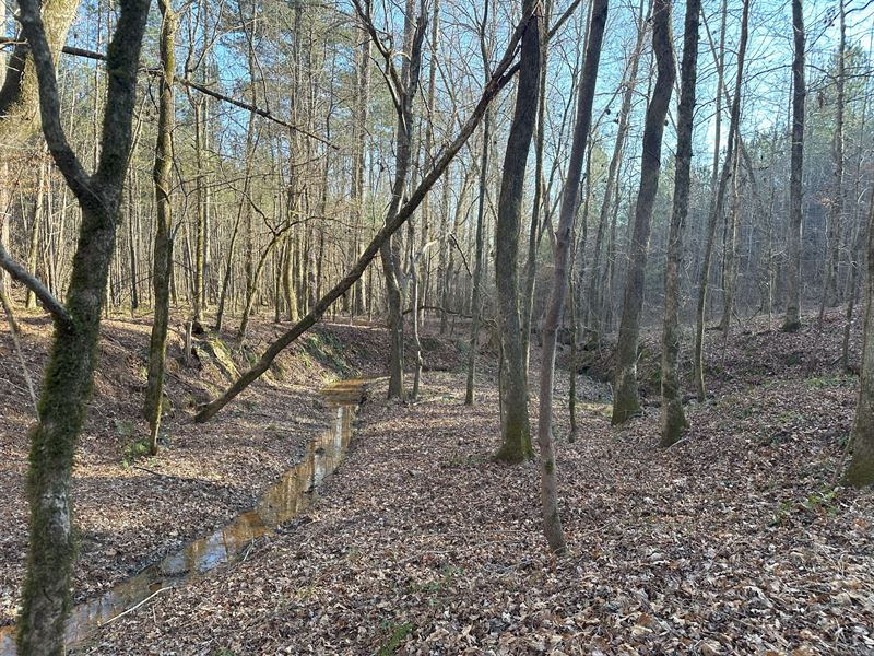 Nichols Tract +/- 33 Acres : Greensboro : Putnam County : Georgia