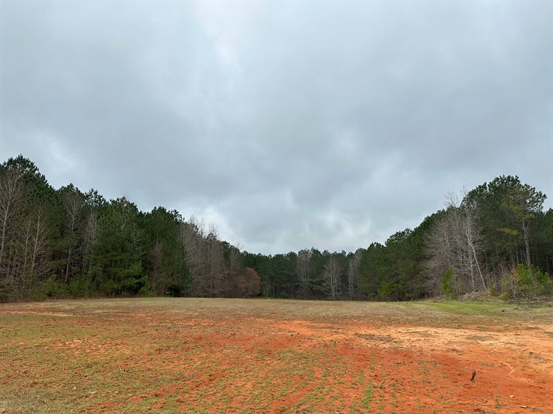 Harmony Tract +/- 164 Acres : Eatonton : Putnam County : Georgia