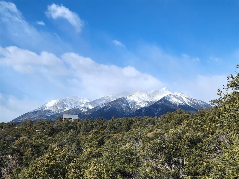 Gonzales 40 : Salida : Chaffee County : Colorado