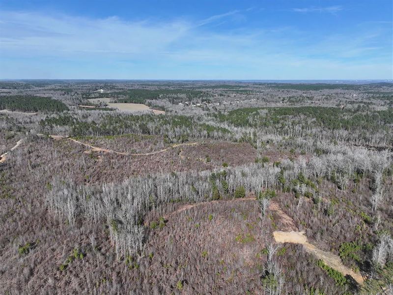 16.58 Acres in Tuscaloosa County : Ralph : Tuscaloosa County : Alabama