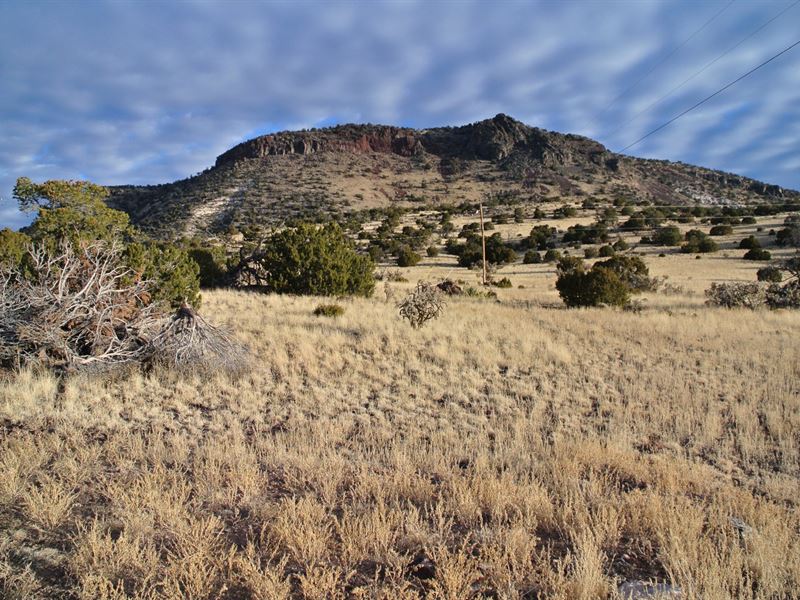 Stunning Mt. Taylor Retreat : Grants : Cibola County : New Mexico