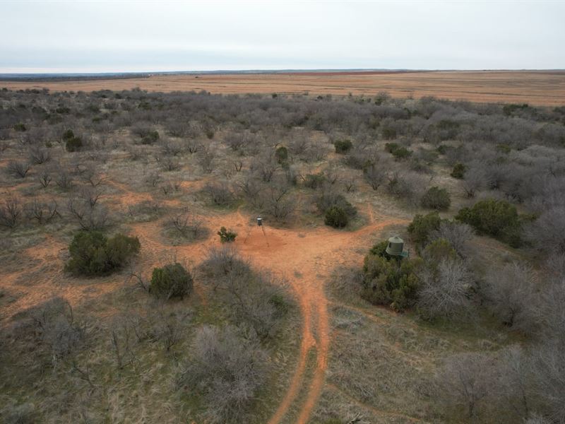 200 Acres Cottle County Texas Hunti : Childress : Cottle County : Texas