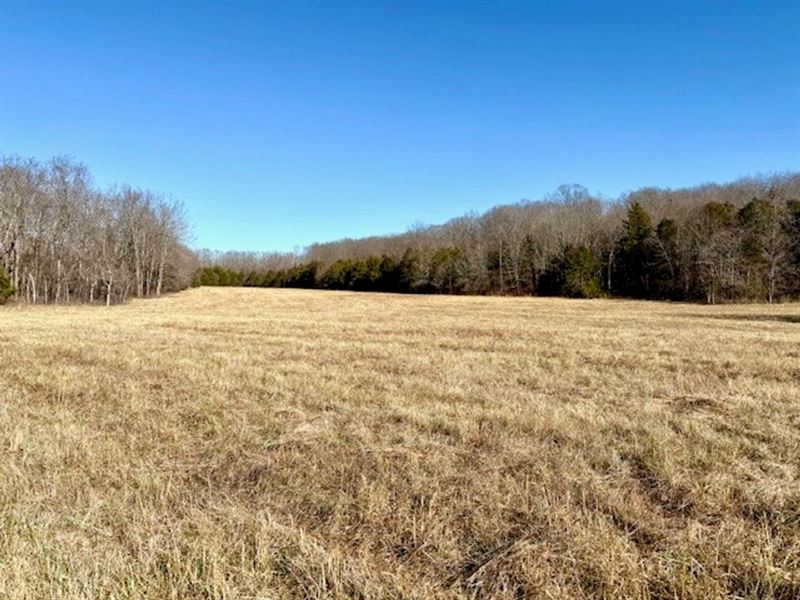 199 Acres, Pastures, Woods, Spring : Ava : Douglas County : Missouri