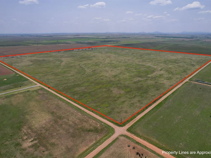 Land Auction in Kiowa County, OK : Lone Wolf : Kiowa County : Oklahoma