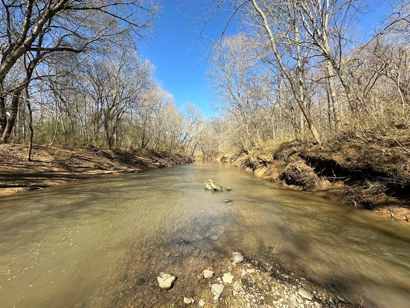 79 Acres Lawrence County AL : Moulton : Lawrence County : Alabama