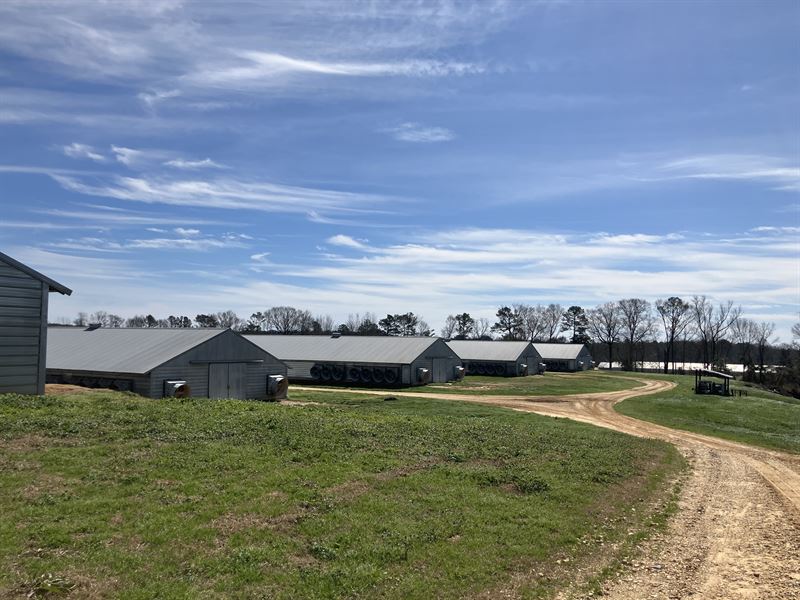 Recently Upgraded, 6 Broiler Farm : Prentiss : Jefferson Davis County : Mississippi