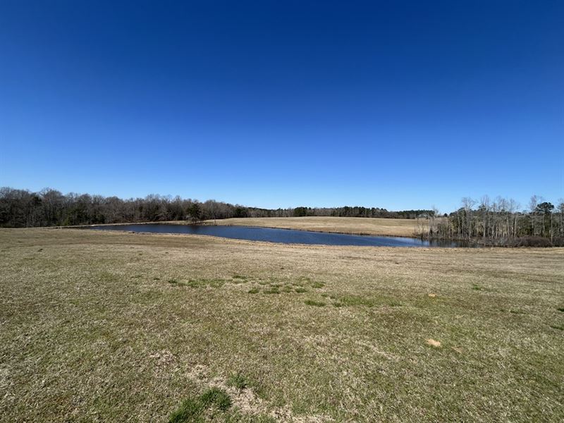 Open Pasture with 6 Acre Pond : Butler : Taylor County : Georgia