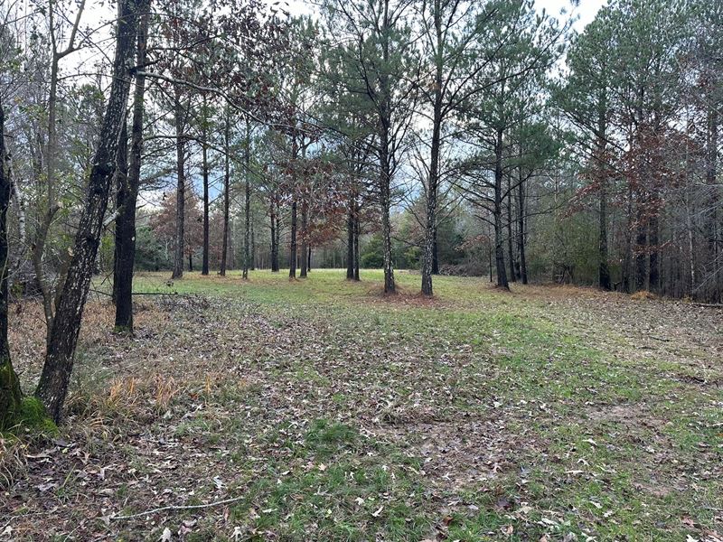 284 Acres Franklin County AL : Vina : Franklin County : Alabama