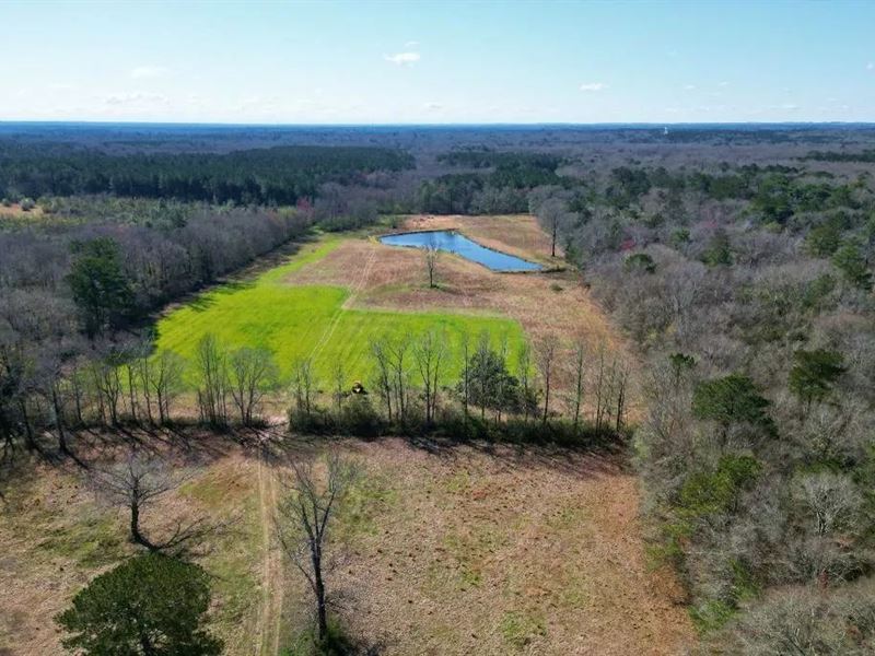 28.8 Acres in Jones County in Laure : Laurel : Jones County : Mississippi