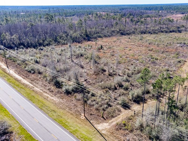 22 Ac Mini-Farm Homesite, Blank Sla : Wewahitchka : Gulf County : Florida