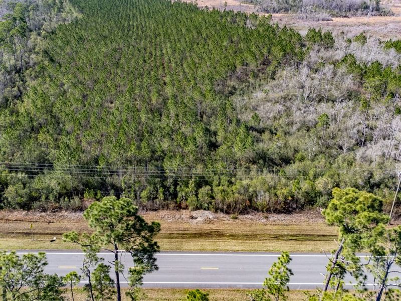 33 Ac Mini-Farm Homesite with Beaut : Wewahitchka : Gulf County : Florida