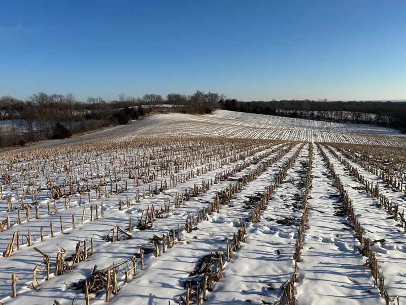 37 Acres of Crop Ground in Don : Troy : Doniphan County : Kansas