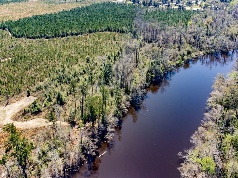 46 Ac Chipola River Frontage : Blountstown : Calhoun County : Florida