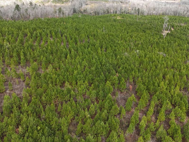 266.93 Acres, Deatsville, Autau : Deatsville : Autauga County : Alabama