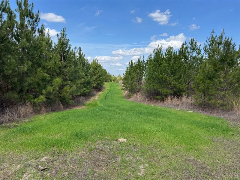 35.85 Acres, Deatsville, Elmore : Deatsville : Elmore County : Alabama