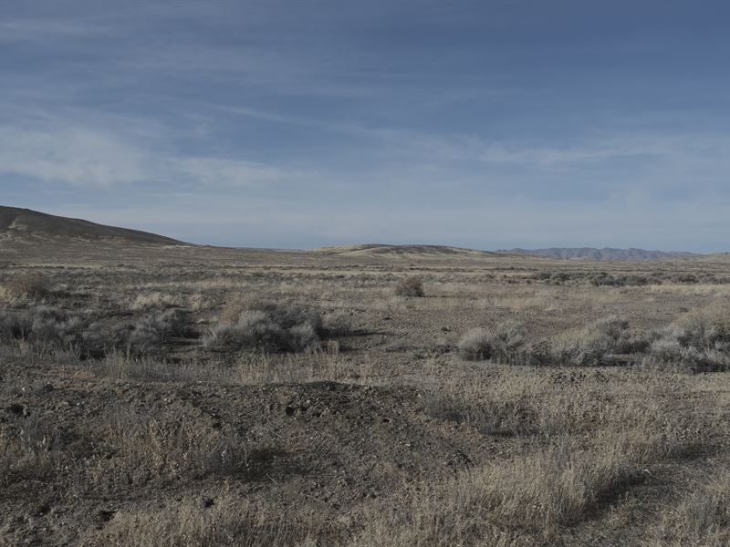 Buy This Land, Special Deal : Placerites : Pershing County : Nevada