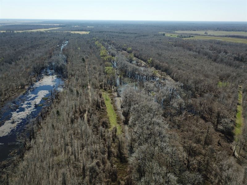 La, Concordia 561 Acres : Acme : Concordia Parish : Louisiana