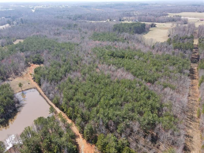 59 Acres of Recreational and Huntin : Keysville : Charlotte County : Virginia