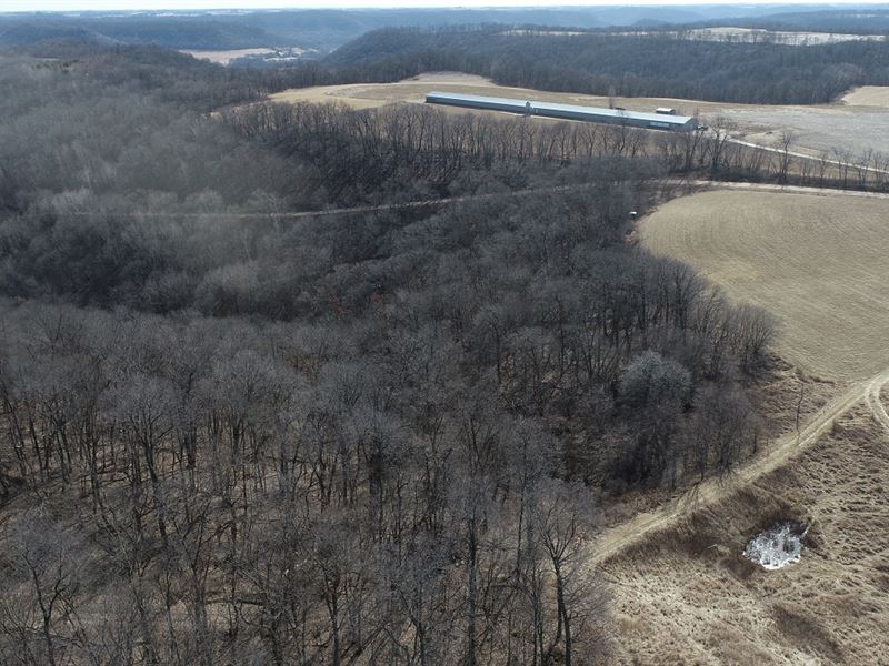 40 Acres Buffalo County : Cochrane : Buffalo County : Wisconsin