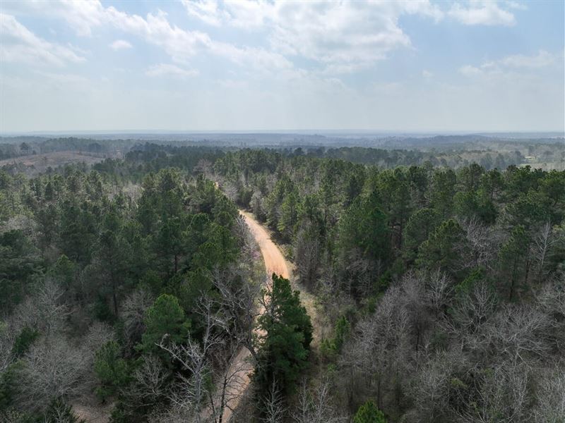 14 Acres, T-2, County Road 2317 : Alto : Cherokee County : Texas