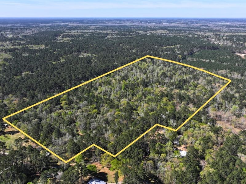 46 Acres, Ripple Creek Drive : Coldspring : San Jacinto County : Texas