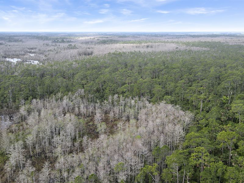 County Line Ranch : Indiantown : Martin County : Florida