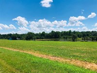 Irby Farm : Montezuma : Macon County : Georgia