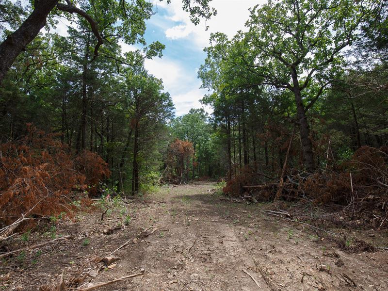 $999 Down, 31 Miles From Branson : Cedarcreek : Taney County : Missouri