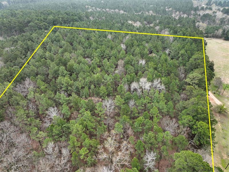 12 Acres, County Road 4811 : Troup : Cherokee County : Texas