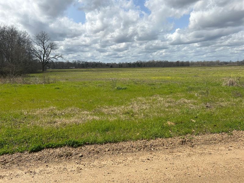 La, Catahoula 63 Acres : Harrisonburg : Catahoula Parish : Louisiana