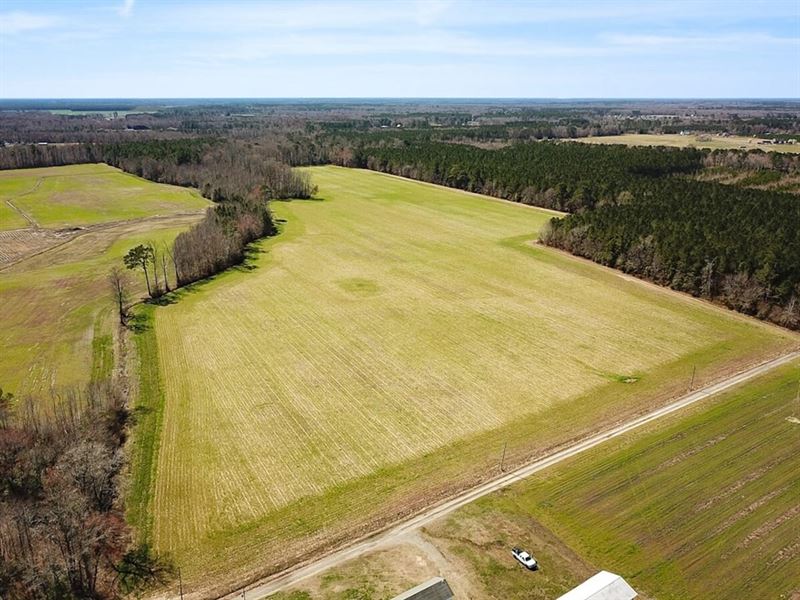 59 Acre Working Farm and Hunting LA : Whaleyville : Suffolk County : Virginia