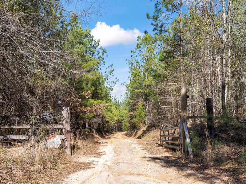 639 Acres Lowndes County : Minter : Lowndes County : Alabama