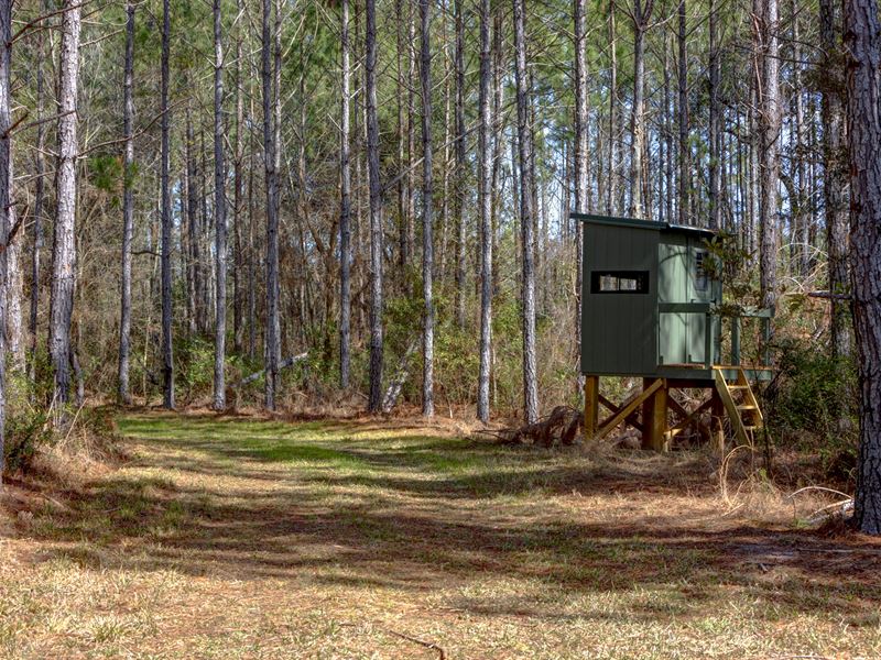 Bull Creek Ranch : Claxton : Evans County : Georgia