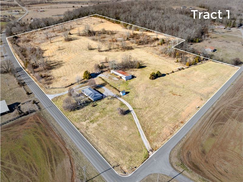 Absolute Land Auction, 283+/- Acre : Cerulean : Christian County : Kentucky