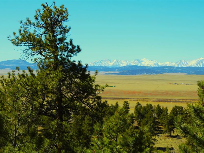 Elk Ridge Paradise : Hartsel : Park County : Colorado