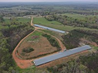 New Price, Bik Mega Broiler Farm : Woodland : Randolph County : Alabama