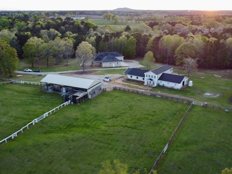 Welcome to Rising Star Farm : Lincolnton : Lincoln County : Georgia