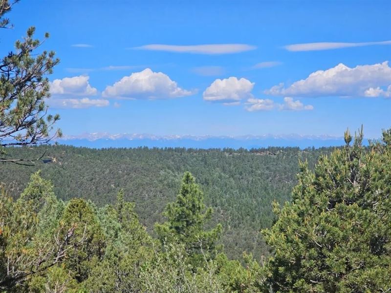 D65 Santa Fe Trail Ranch : Trinidad : Las Animas County : Colorado